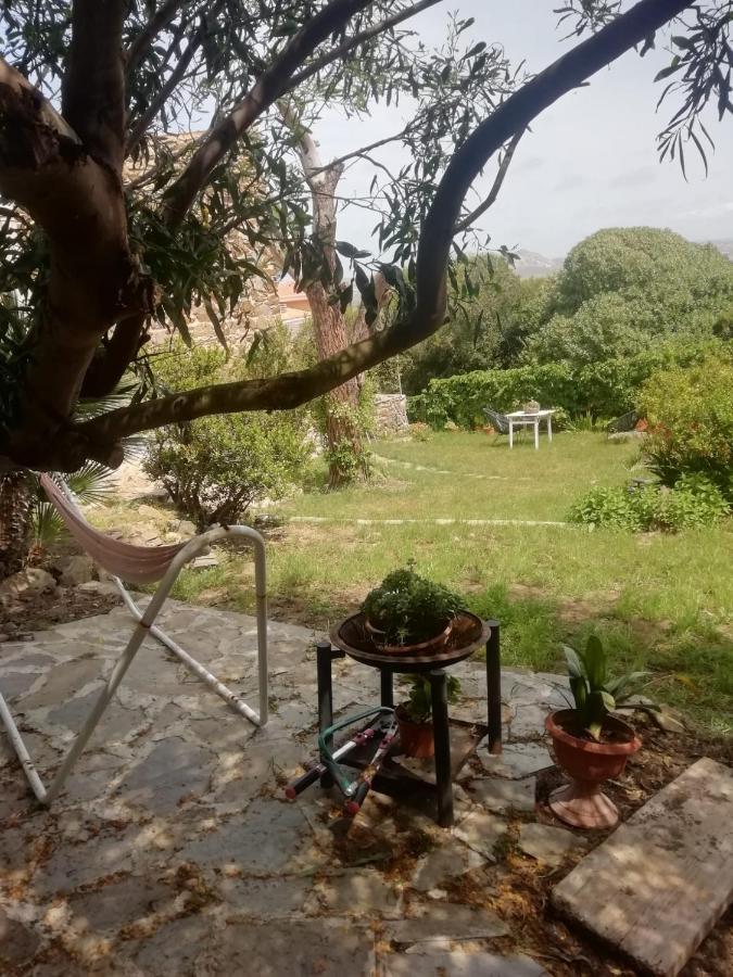Sa Domo De Afra Bed & Breakfast Stintino Dış mekan fotoğraf