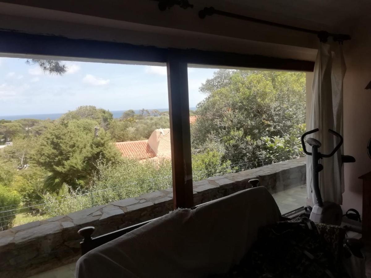 Sa Domo De Afra Bed & Breakfast Stintino Dış mekan fotoğraf