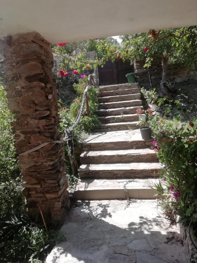 Sa Domo De Afra Bed & Breakfast Stintino Dış mekan fotoğraf