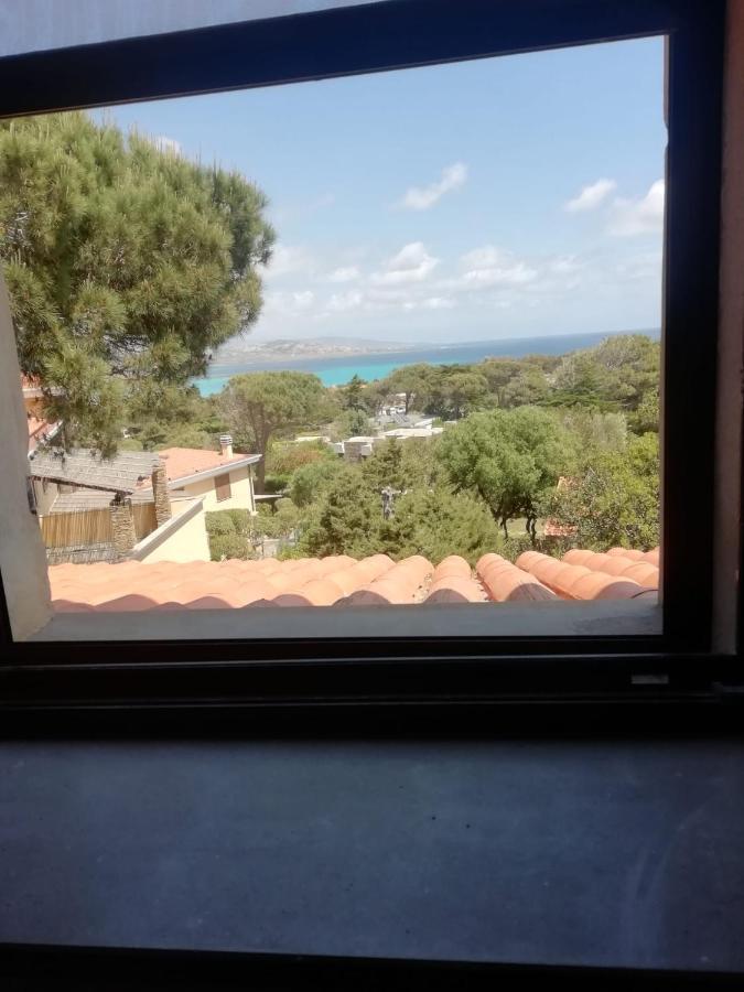 Sa Domo De Afra Bed & Breakfast Stintino Dış mekan fotoğraf