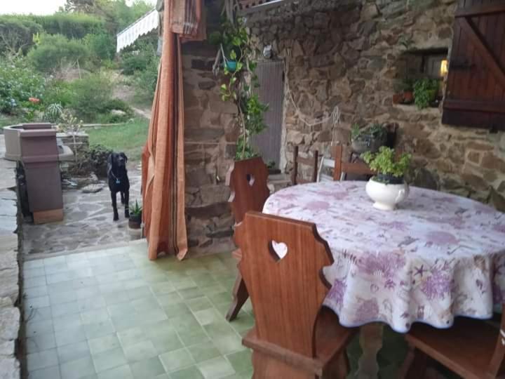 Sa Domo De Afra Bed & Breakfast Stintino Dış mekan fotoğraf
